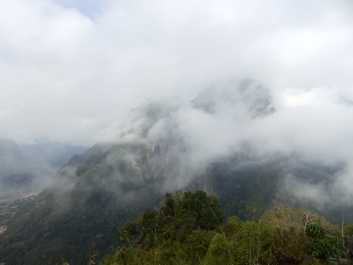 photo 1823637