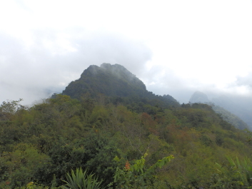 photo 1823858