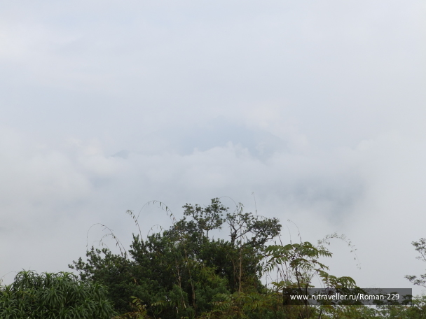 photo 1823859