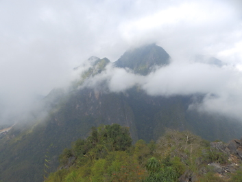 photo 1825255