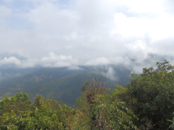 photo 1825383