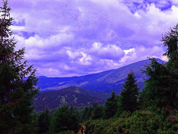 photo 1977737