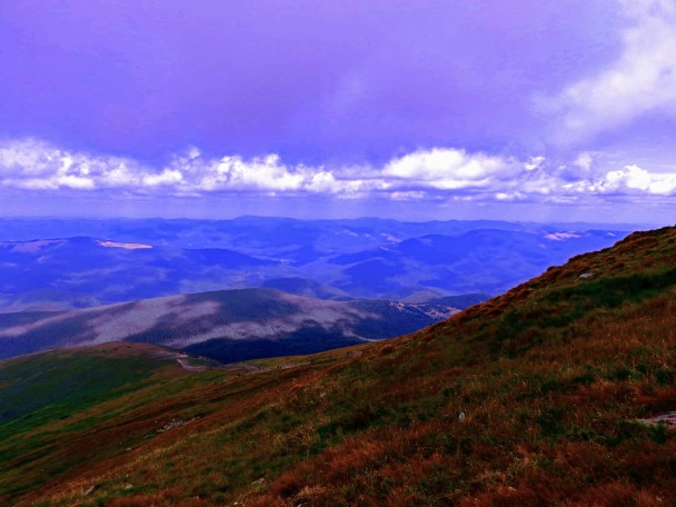 photo 1979272