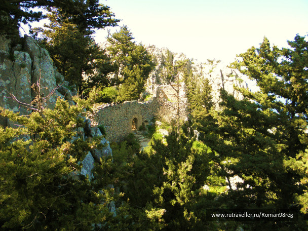 photo 89715