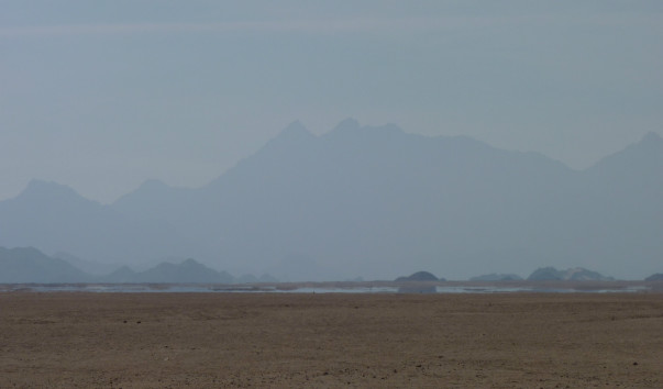 P1050460