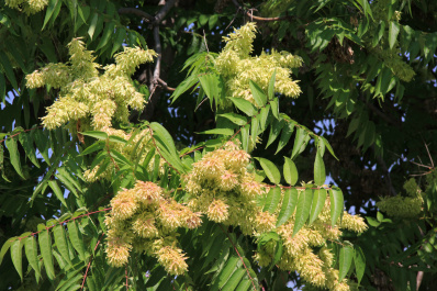photo 253690