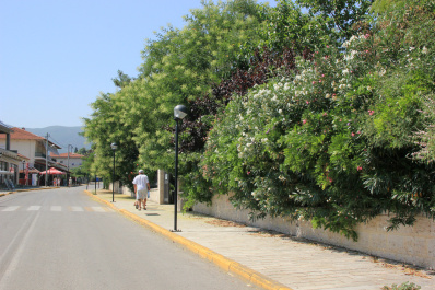 photo 253697