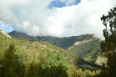 photo 557487