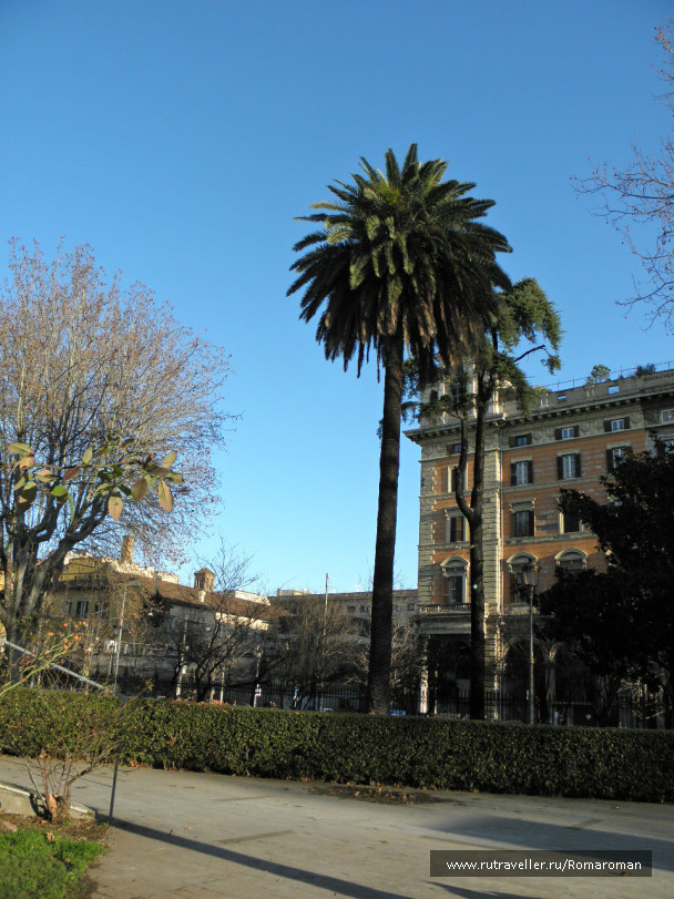 photo 684818