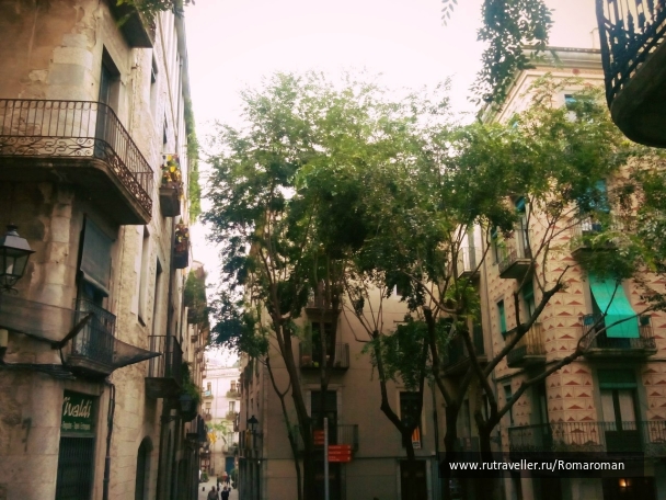 photo 768094