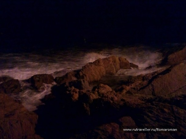 photo 768099