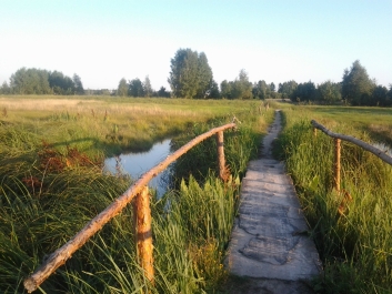 photo 845643