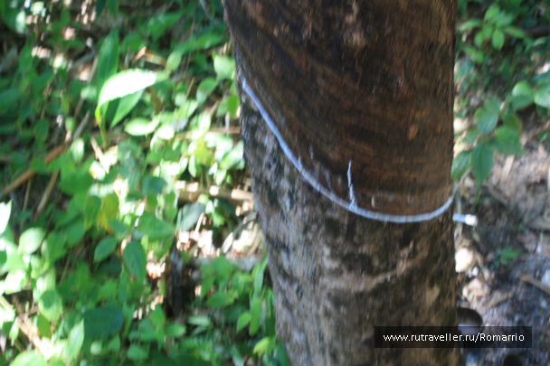 photo 190776