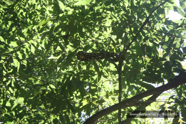 photo 190823