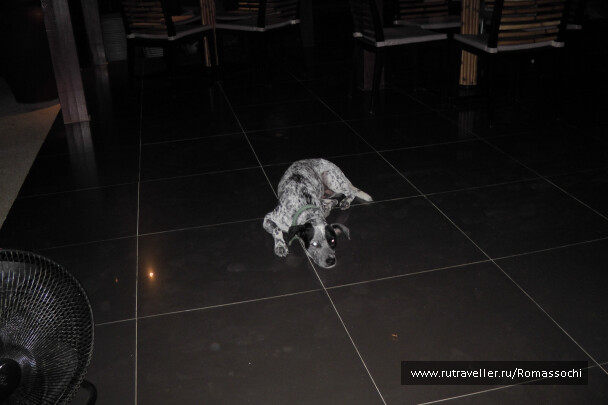 photo 22526