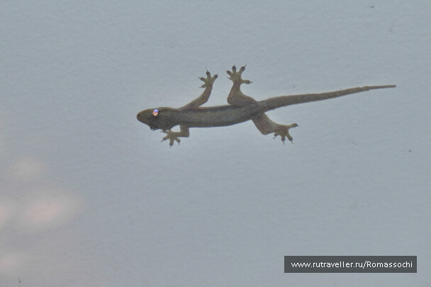 photo 22544