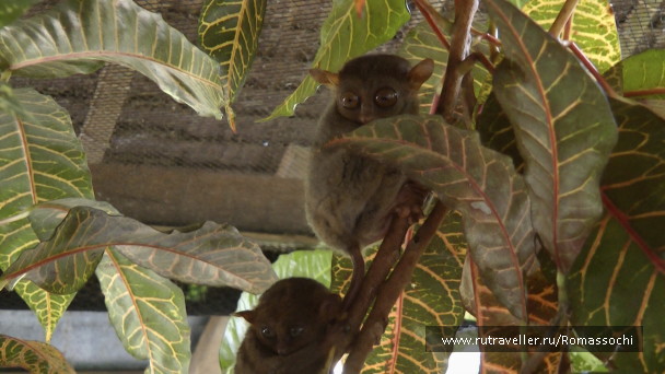 photo 22592