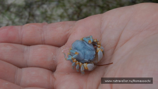 photo 22619
