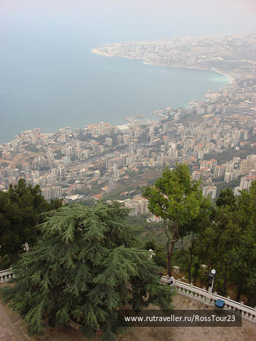 photo 1522464