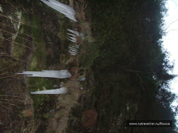 photo 56585