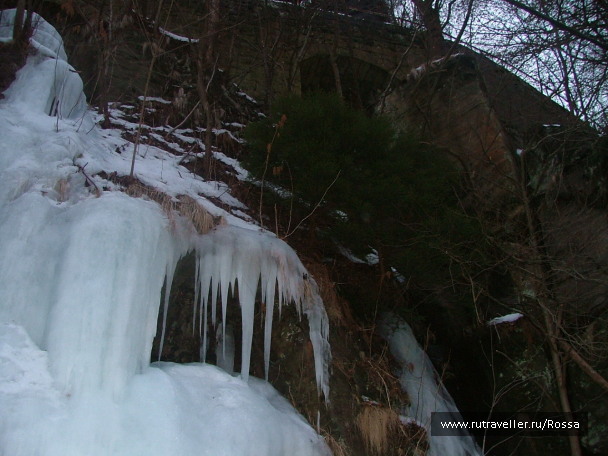 photo 56589