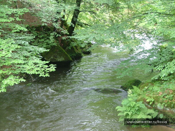 photo 56629