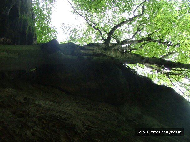 photo 56634