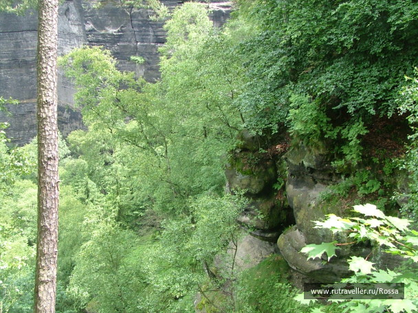 photo 56651