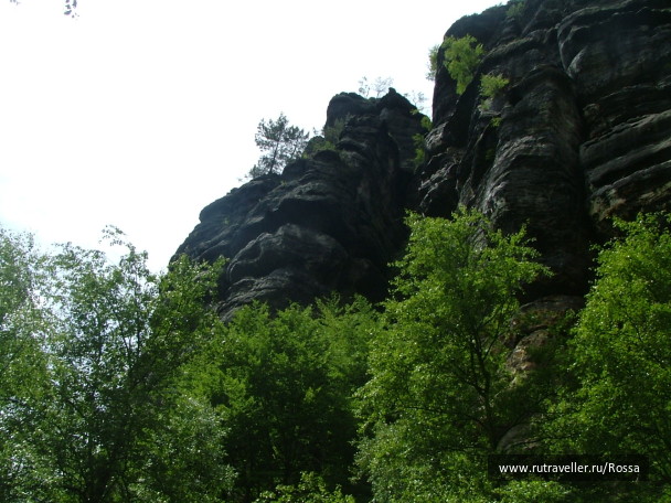 photo 56658
