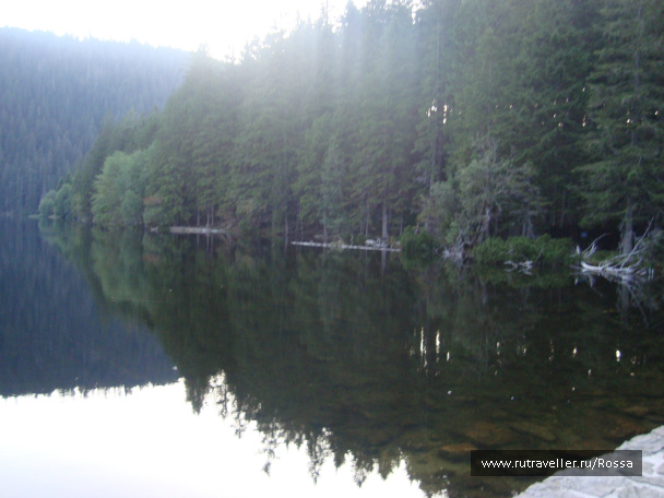 photo 54010