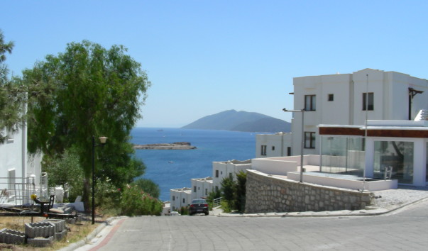 DSCN2102