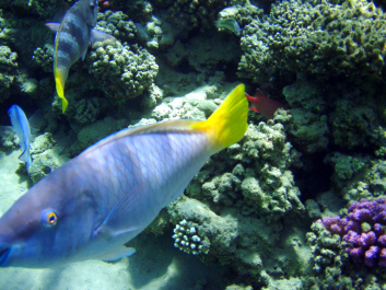 photo 1234964