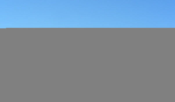 DSCN1462