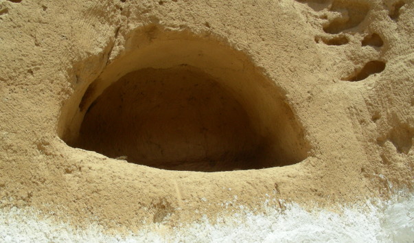 DSCN1796