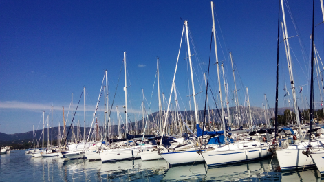photo 1236447