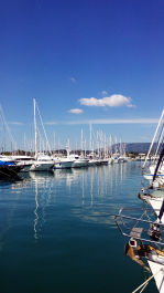 photo 1236450