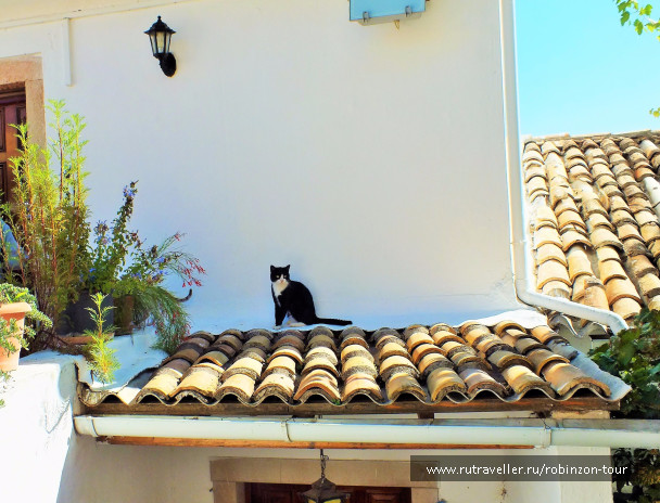 photo 1245271