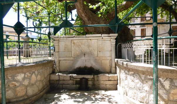 P1000282