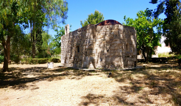 P1000262