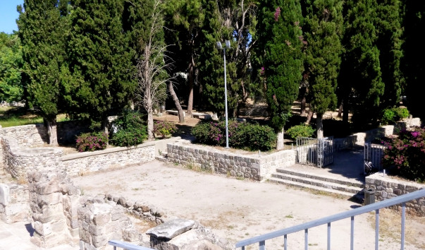 P1000234