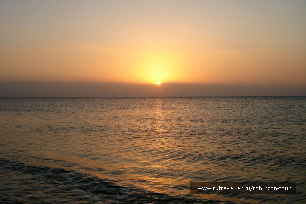 photo 1247534