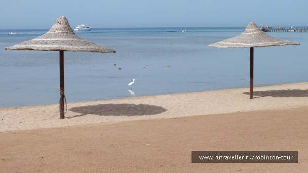 photo 1247551