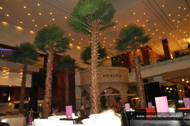 photo 206423