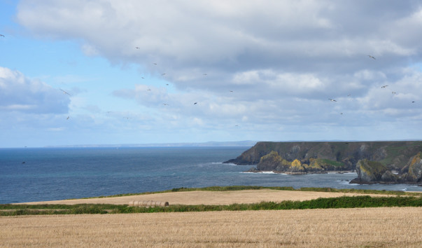 DSC_0085