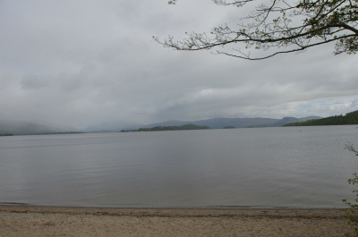 photo 390156