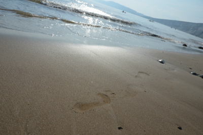 photo 446406