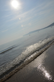 photo 446407