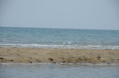photo 446420