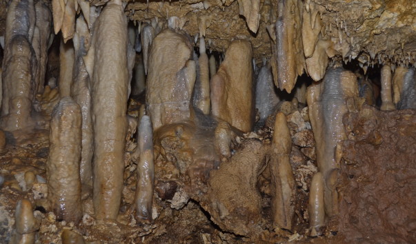CSC_1345