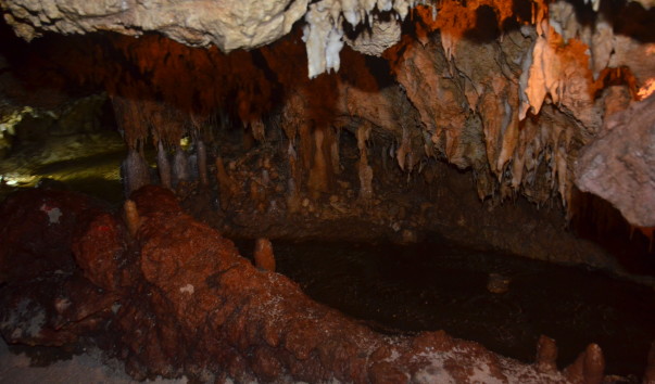 CSC_1311